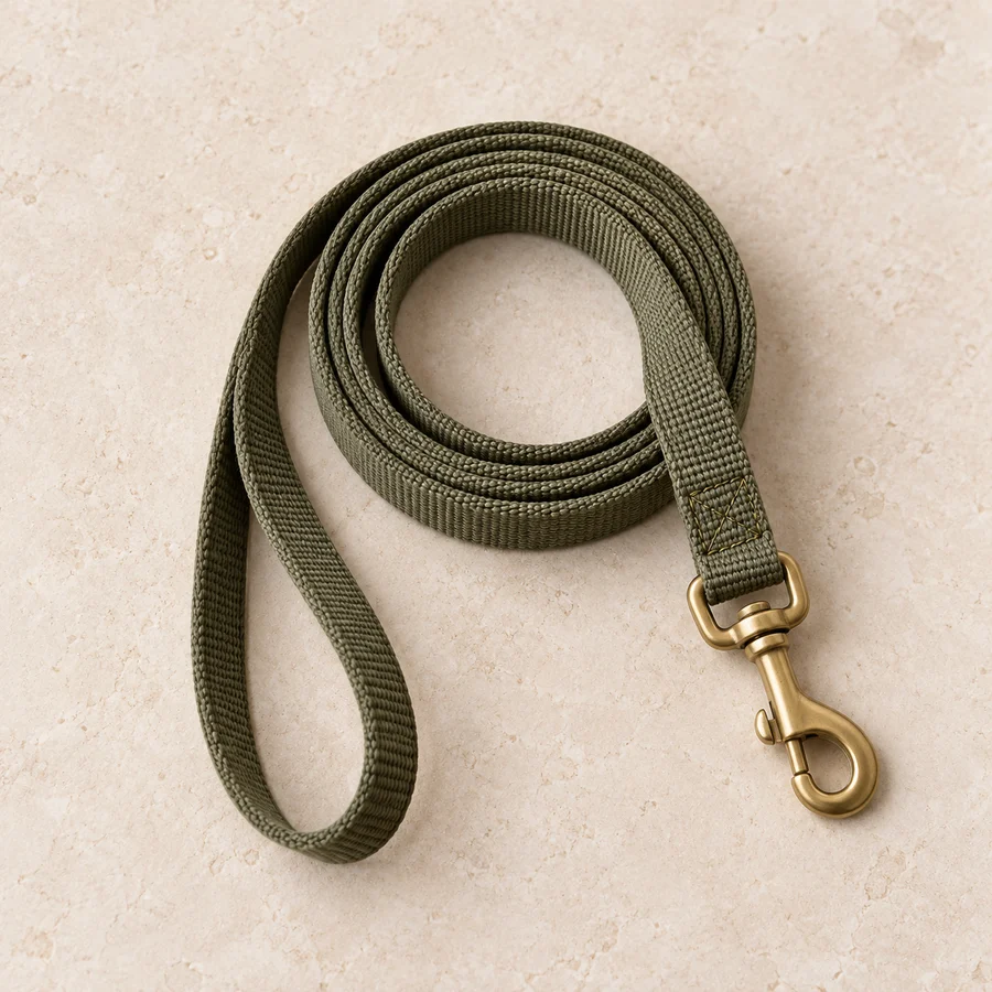 The Everyday Leash in Olive, product concept